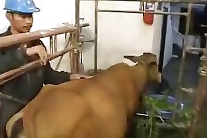 ZOO Porn video for FREE